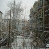 My backyard.
